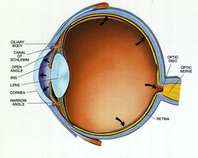 Glaucoma | Nayandeep Eye Hospital